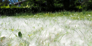 Pollenallergie? Saunieren gegen die Beschwerden.